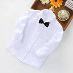 Women's Shirt with Tie