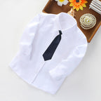 Women's Shirt with Tie