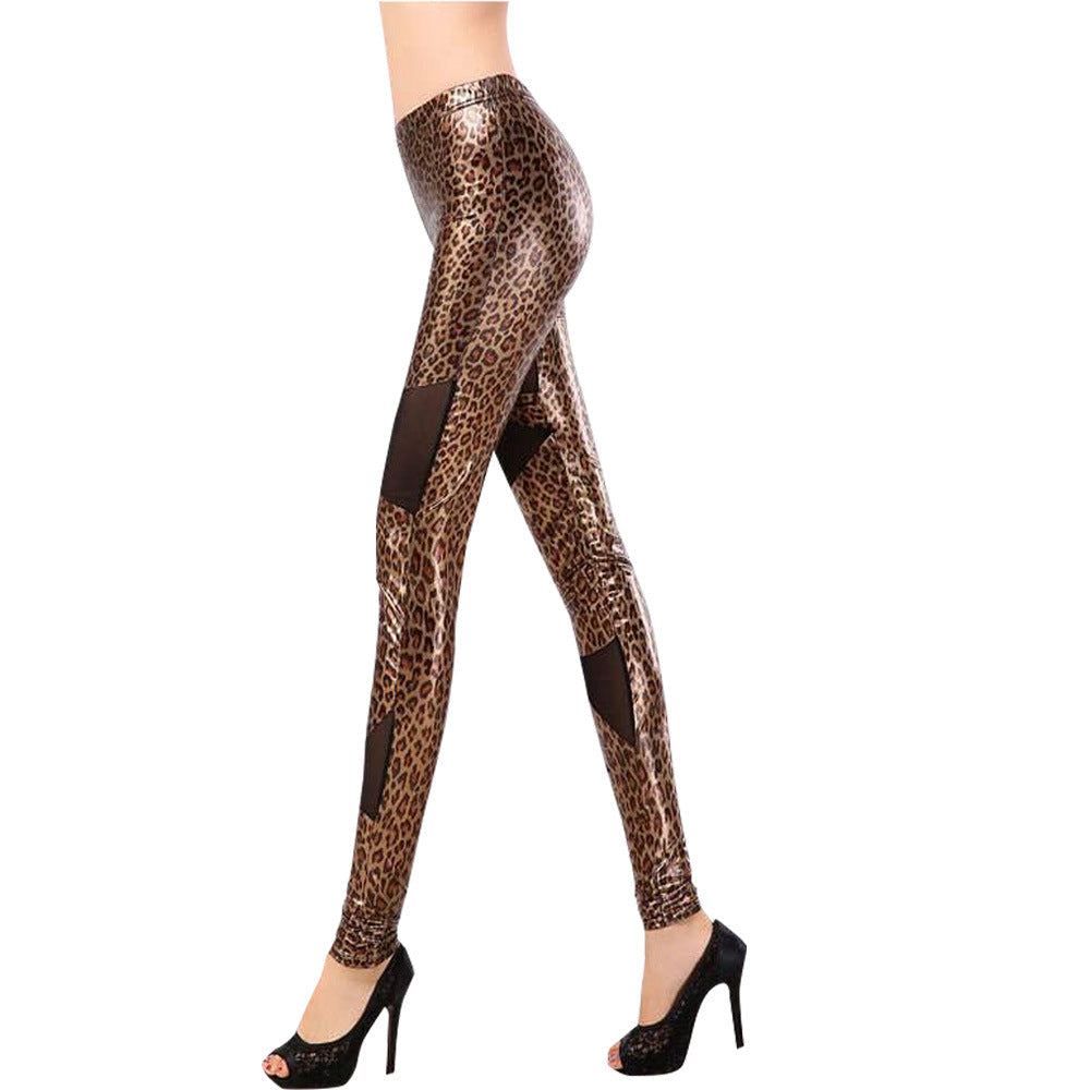 Women's Advanced Leggings with Animal Print and Sheer Panels