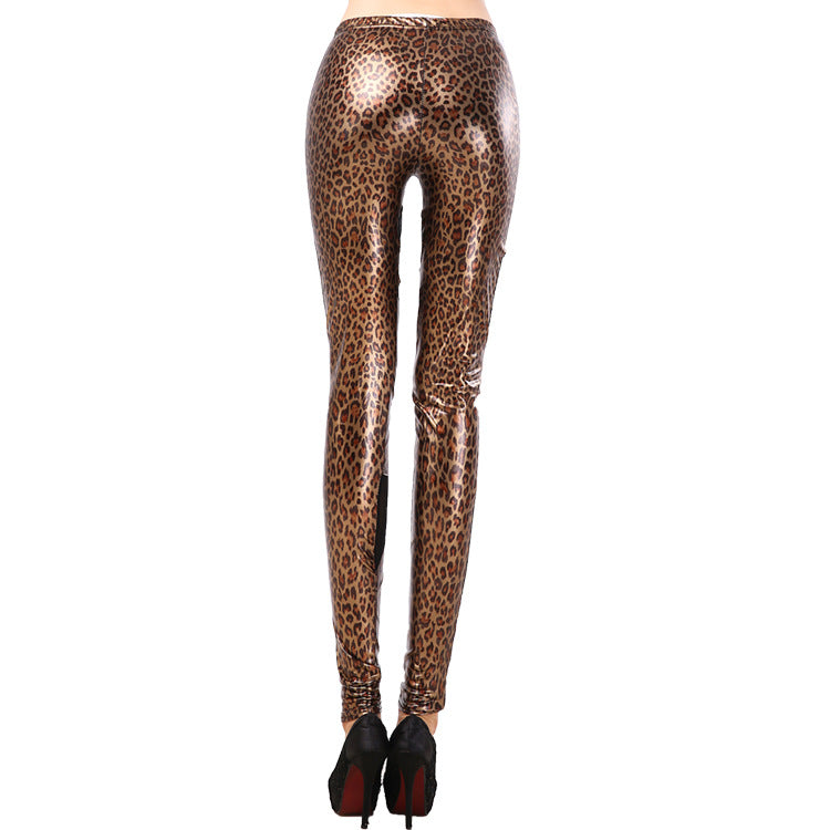 Women's Advanced Leggings with Animal Print and Sheer Panels