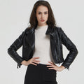 Women's Elegant Biker Jacket
