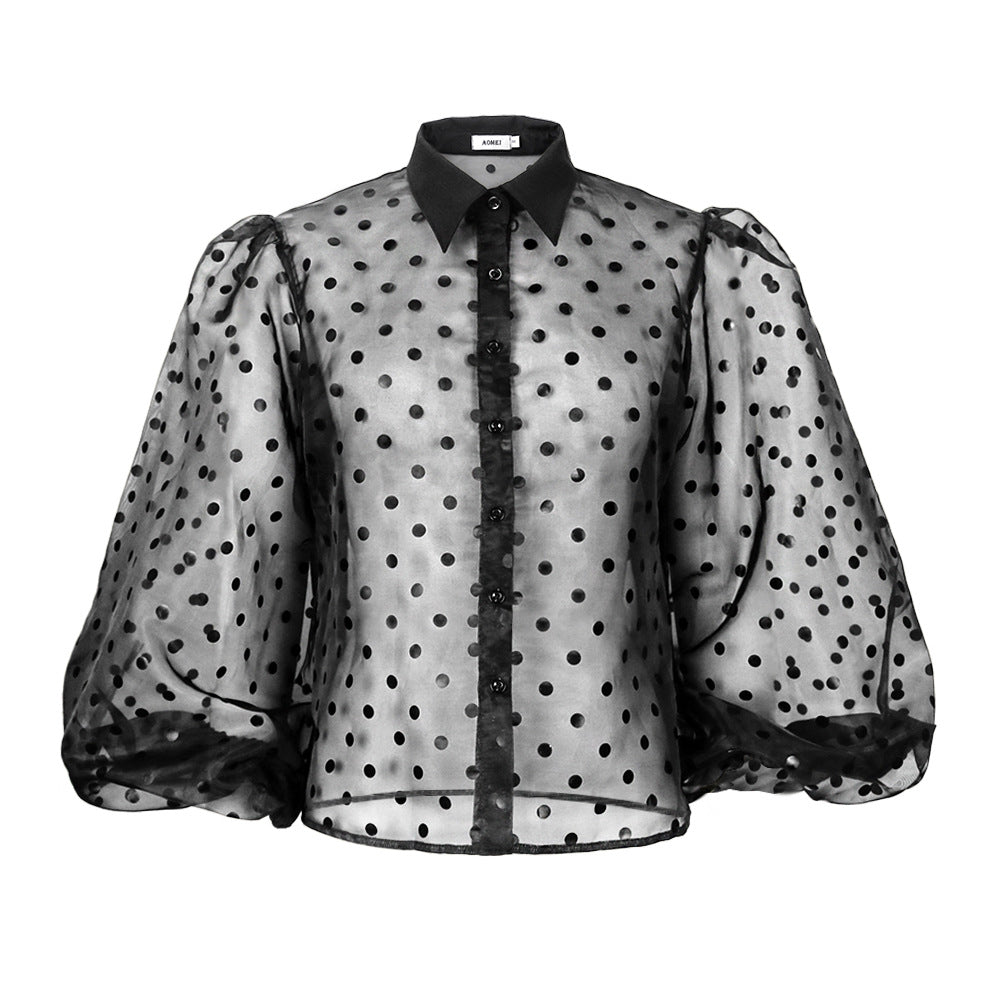 Women's Blouse with Sheer Puff Sleeves and Collar