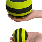 Balance Ball