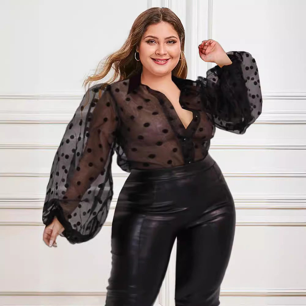 Women's Blouse with Sheer Puff Sleeves and Collar