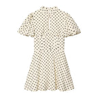Women's A-Line Dress with High Neck and Voluminous Sleeves