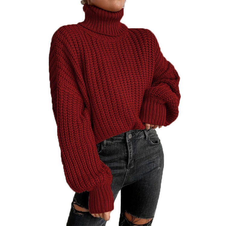 Women's Cozy Knit Turtleneck Sweater