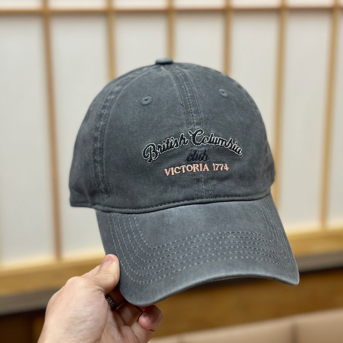 Men's Vintage-Inspired Distressed Baseball Cap
