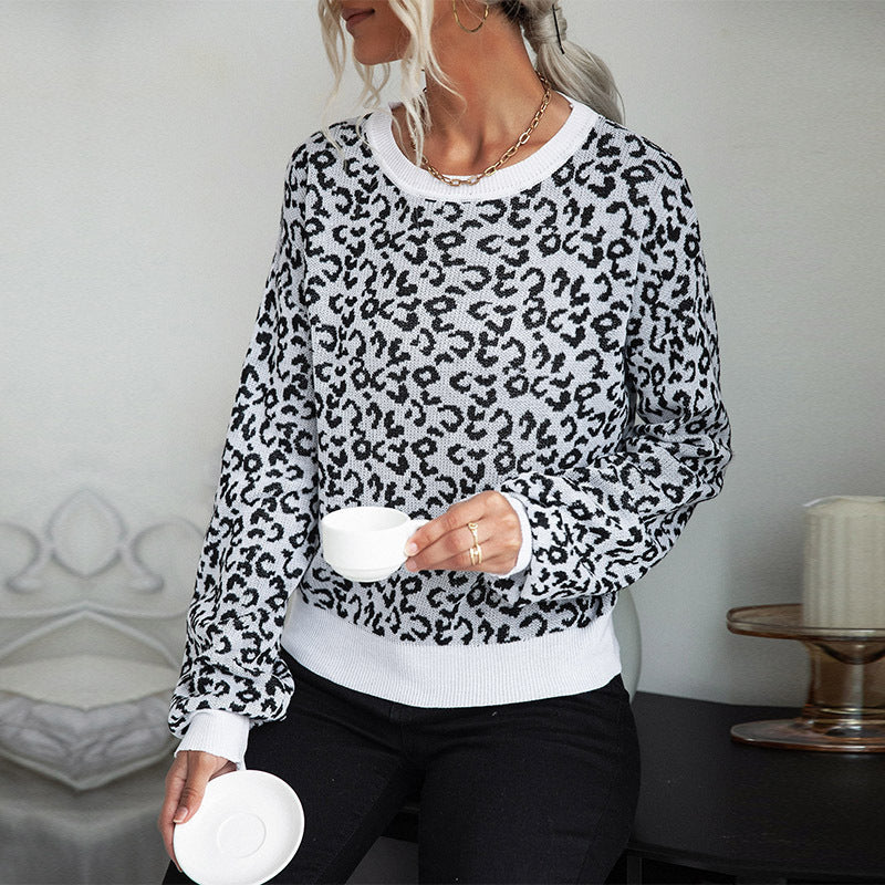 Women's Patterned Knit Sweater with Leopard Print