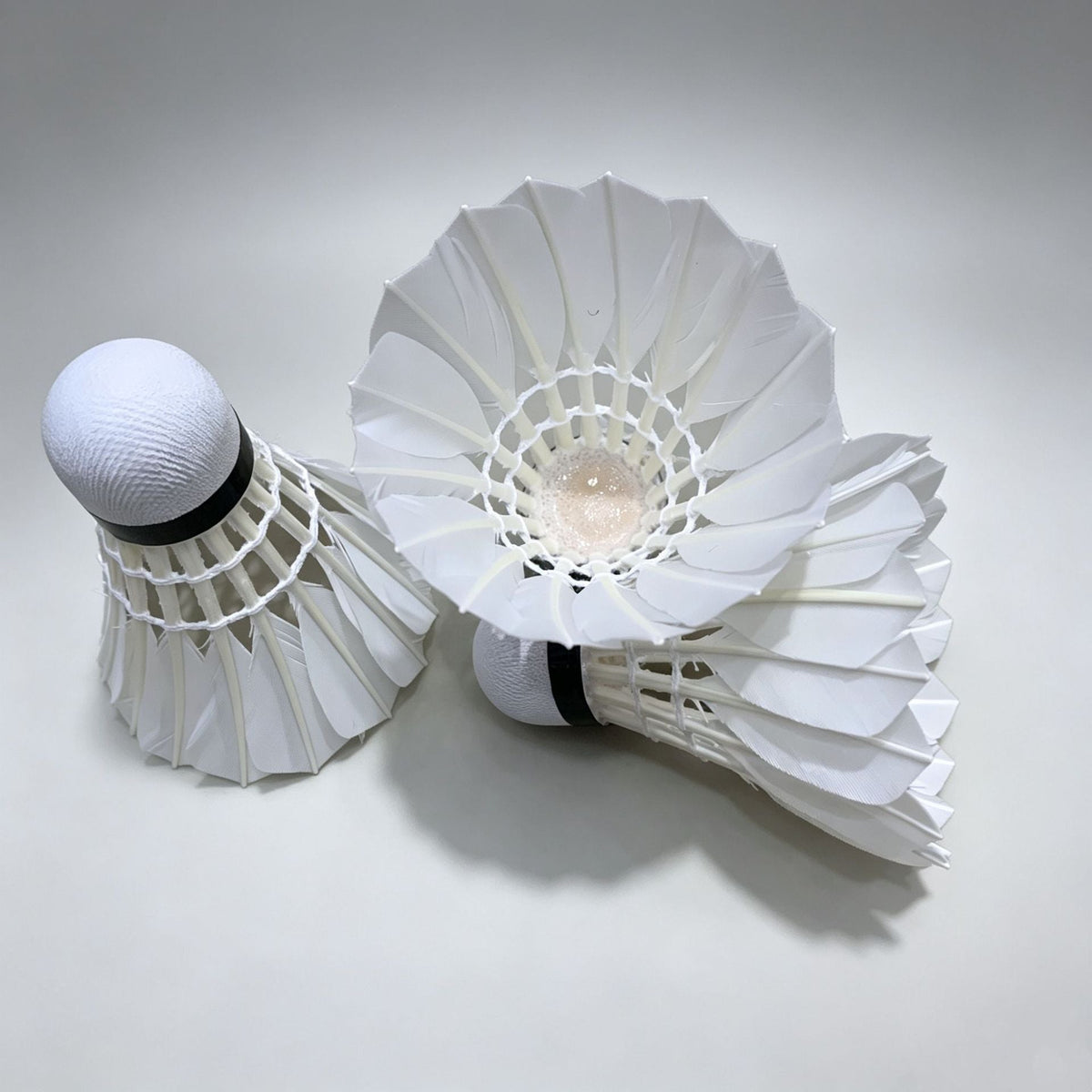Kalsten Badminton Set