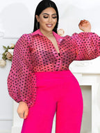 Women's Blouse with Sheer Puff Sleeves and Collar