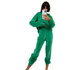 Women's Comfortable Velour Sweat Suit with Hood and Elastic Waistband