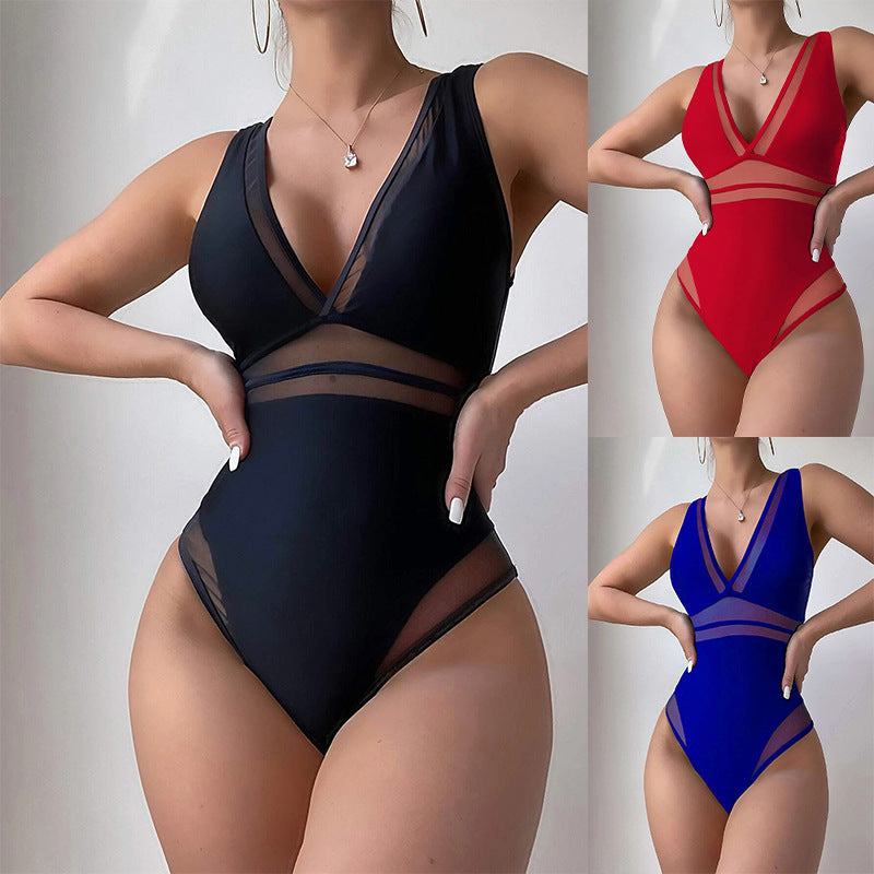 Women's Swimsuit with Sheer Inserts and V-Neck
