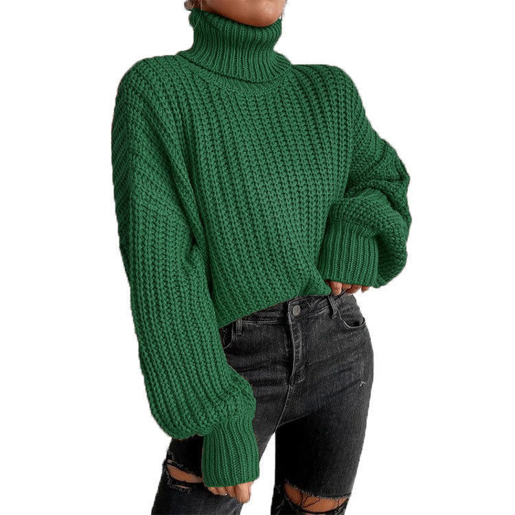Women's Cozy Knit Turtleneck Sweater