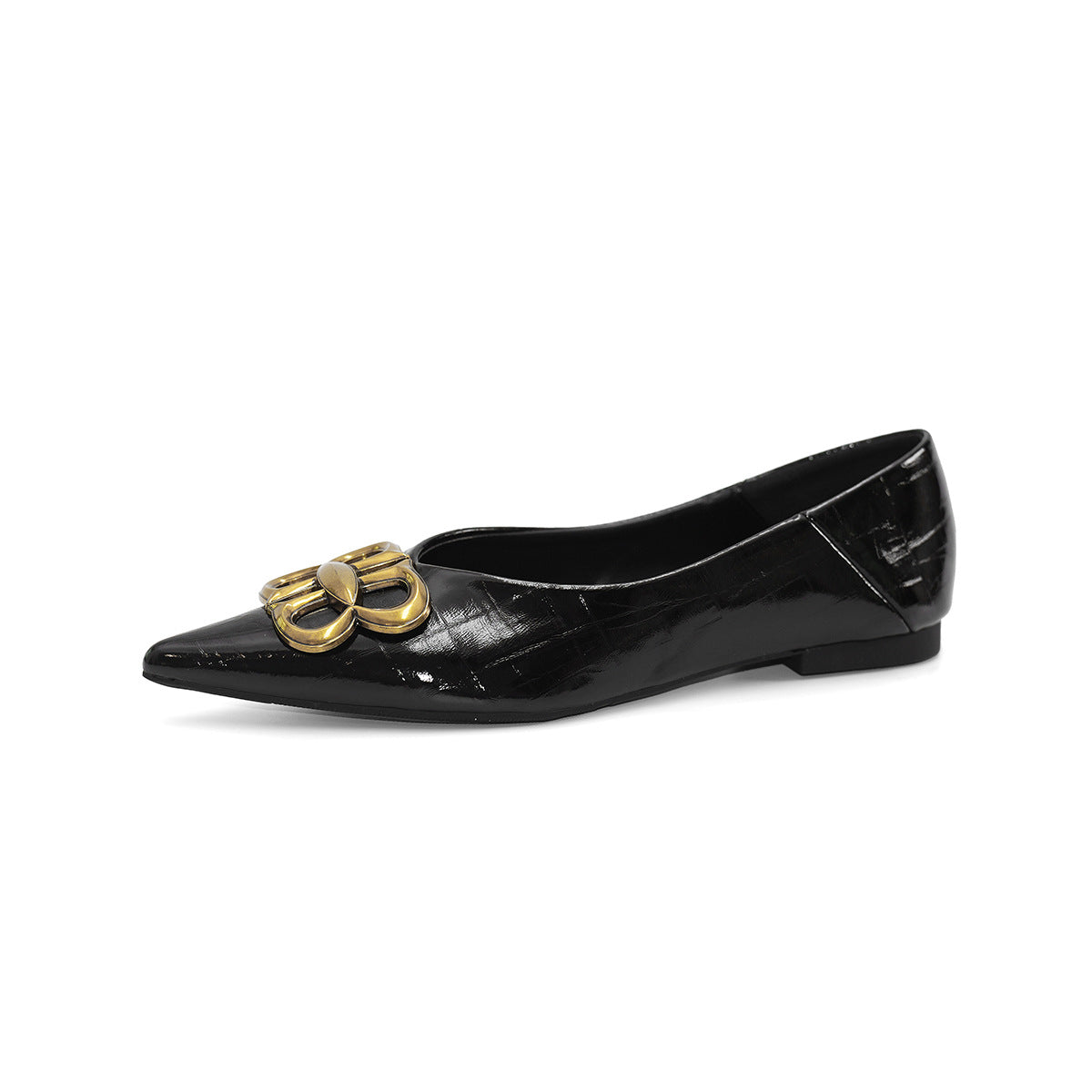 Women's Ballet Flats with Pointed Toe and Luxurious Buckle Accent