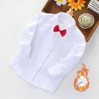 Women's Elegant Long-Sleeve Shirt with Soft Interior