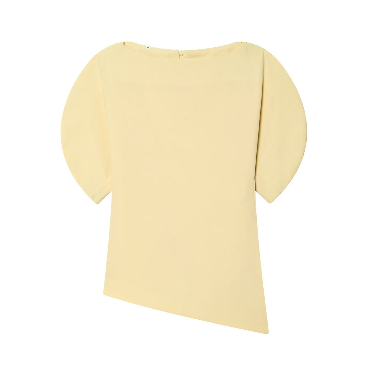 Women's Asymmetrical Top with Ruffle Sleeves