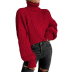 Women's Cozy Knit Turtleneck Sweater