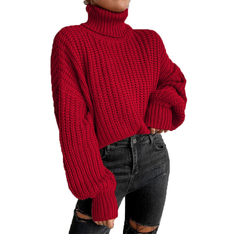 Women's Cozy Knit Turtleneck Sweater