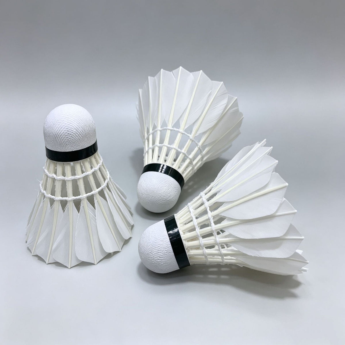 Kalsten Badminton Set