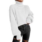 Women's Cozy Knit Turtleneck Sweater