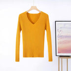 Women's Fine Knit V-Neck Ribbed Sweater
