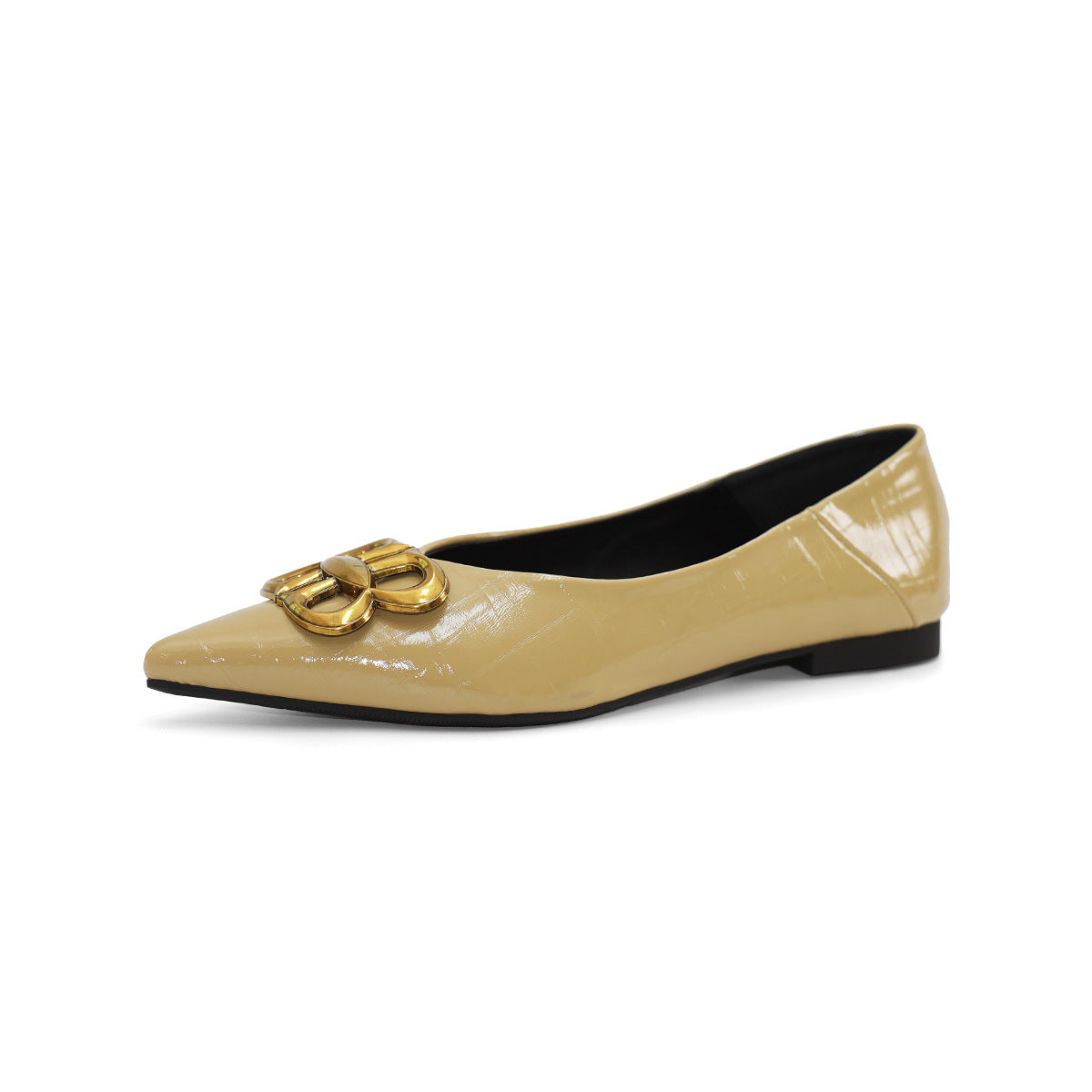 Women's Ballet Flats with Pointed Toe and Luxurious Buckle Accent