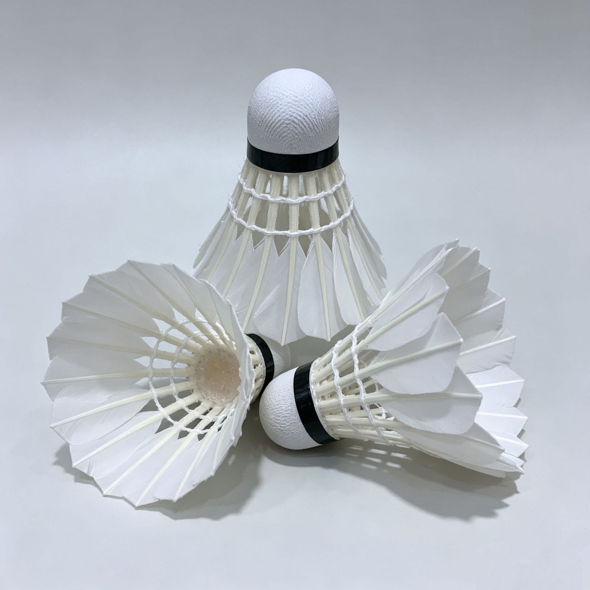 Kalsten Badminton Set