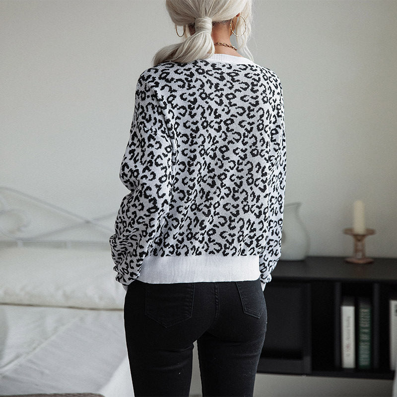 Women's Patterned Knit Sweater with Leopard Print