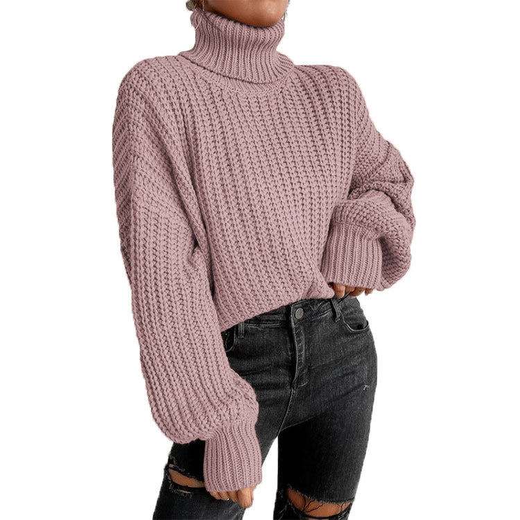 Women's Cozy Knit Turtleneck Sweater