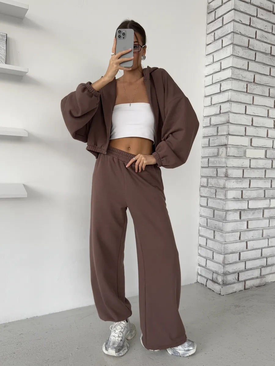 Casual Sweater Set with Cropped Hoodie and Comfortable Pants