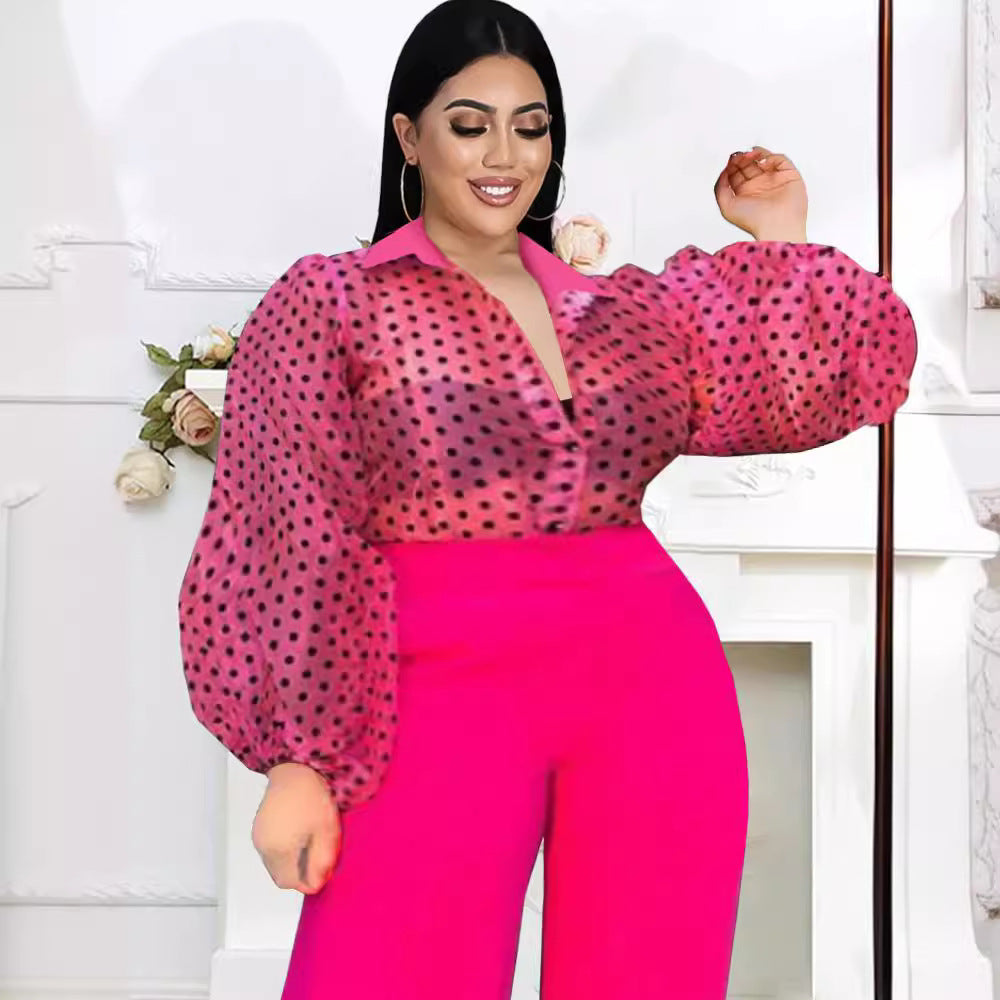 Women's Blouse with Sheer Puff Sleeves and Collar