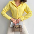 Elegant Women's Shirt Blouse with Luxurious Sheen