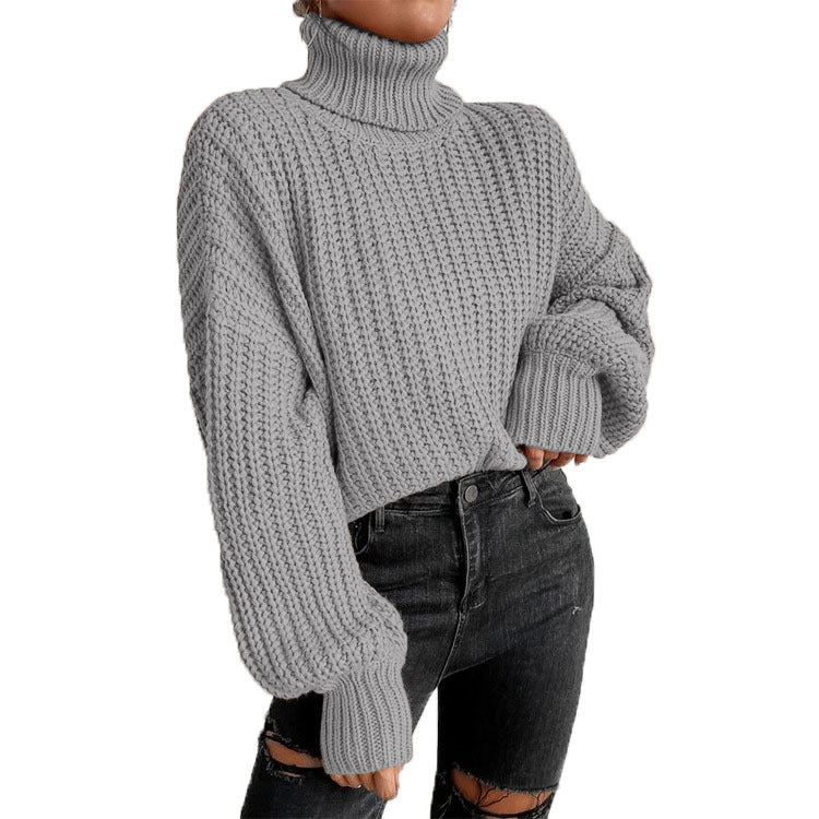 Women's Cozy Knit Turtleneck Sweater