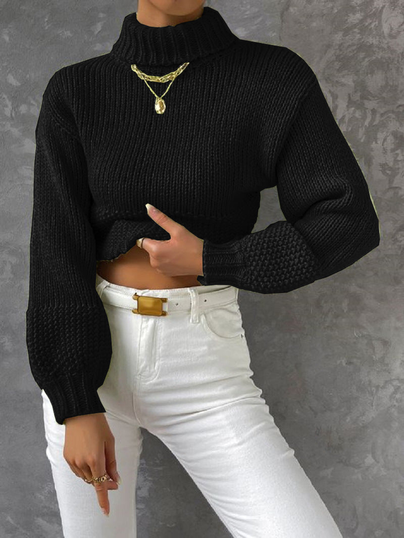 Women's High-Neck Chunky Knit Sweater