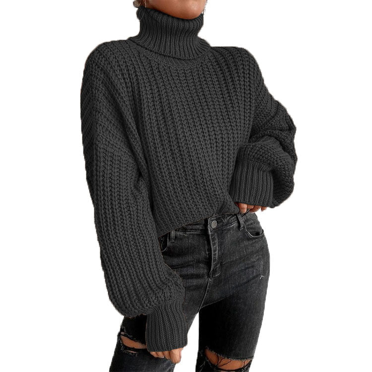 Women's Cozy Knit Turtleneck Sweater