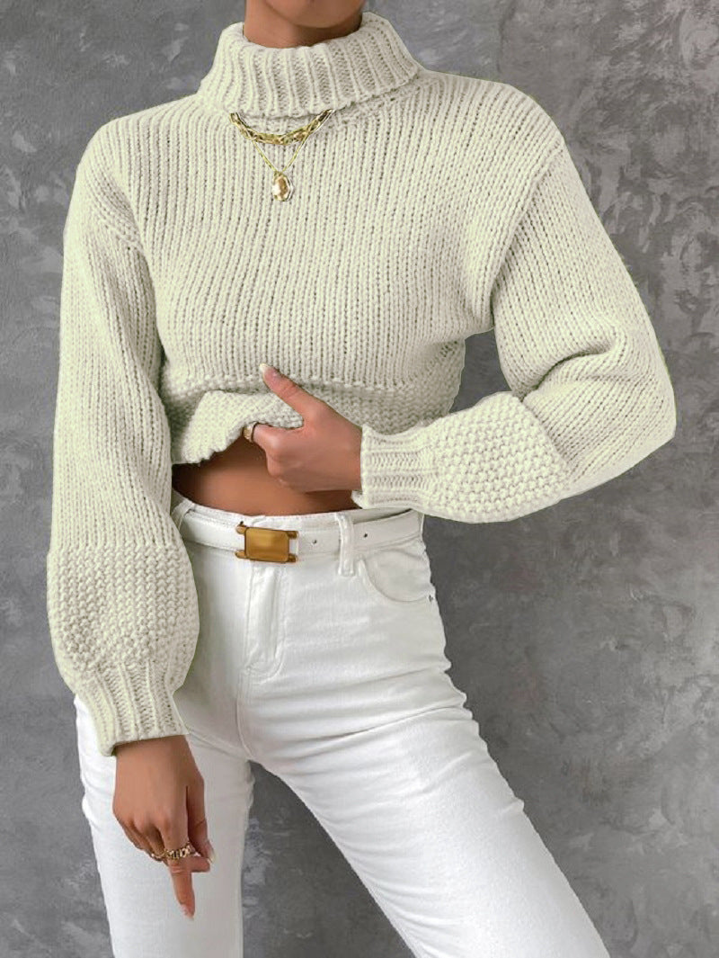 Women's High-Neck Chunky Knit Sweater