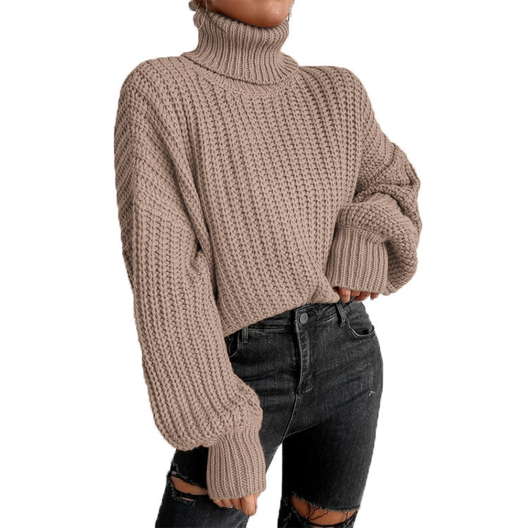 Women's Cozy Knit Turtleneck Sweater