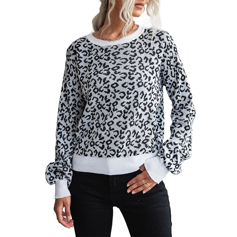 Women's Patterned Knit Sweater with Leopard Print